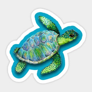 Swimming sea turtle Sticker